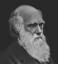 Чарльз Дарвин, основатель теории эволюции