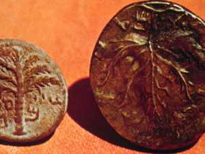 Иудейские монеты времен Бар-Кохбы